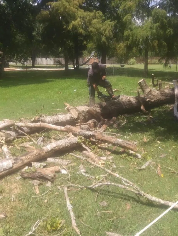 Custom garden landscaping for outdoor upgrades in College Station, TX by J. Hampton Enterprises