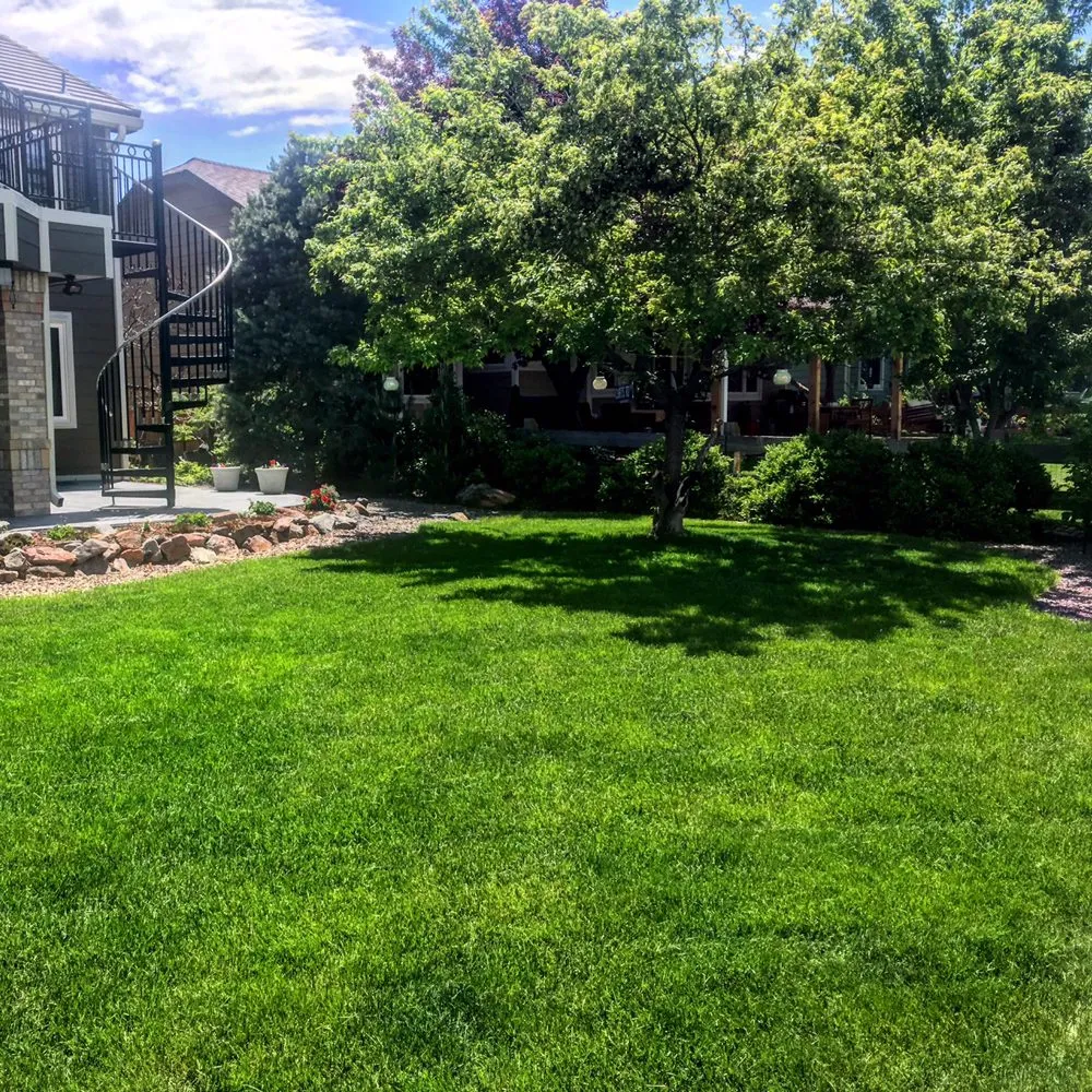 Top-rated landscaping services for outdoor upgrades in Littleton, CO by J Haught Lawn Care
