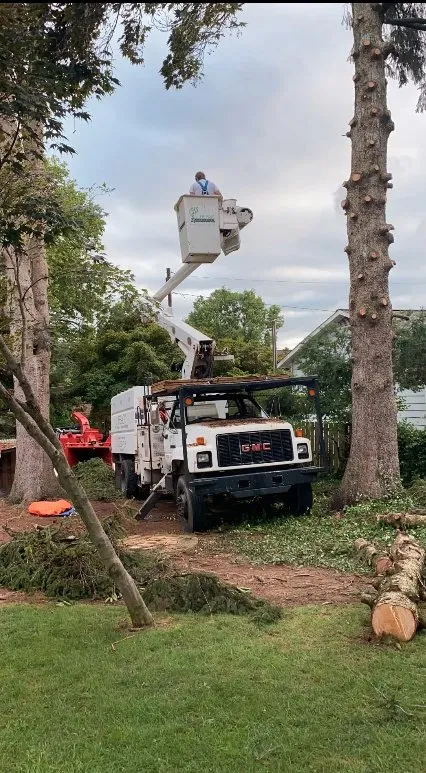 Custom landscape design experts serving East Petersburg, PA - J Heagy