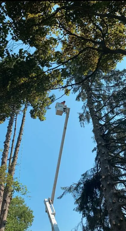 Trusted garden landscaping in East Petersburg, PA - J Heagy