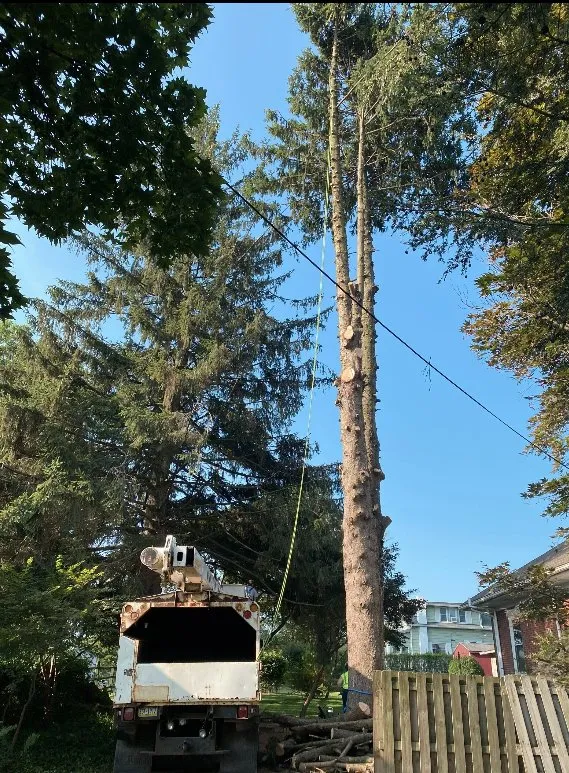 Expert landscape design in East Petersburg, PA - J Heagy