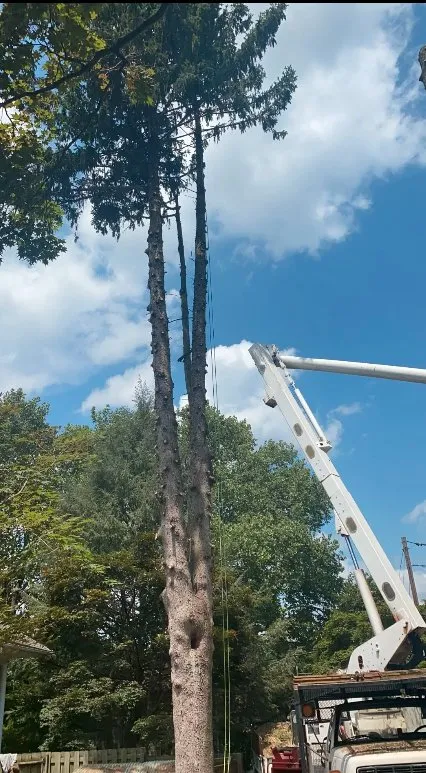 Custom lawn mowing service with custom design across East Petersburg, PA - J Heagy