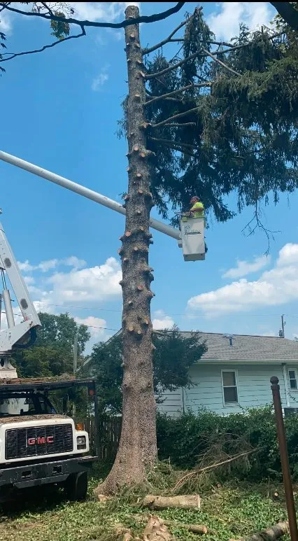 Local lawn care service experts serving East Petersburg, PA - J Heagy