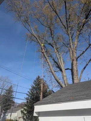 J Hernandez Landscaping Logo