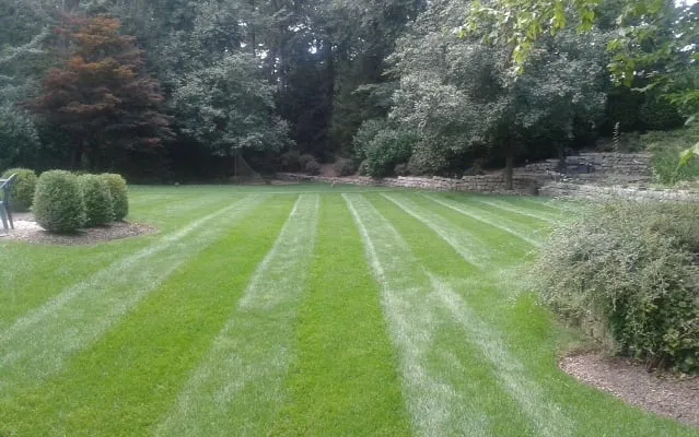 Local landscape installation in Summit, NJ - J Hidalgo Construction & Landscaping