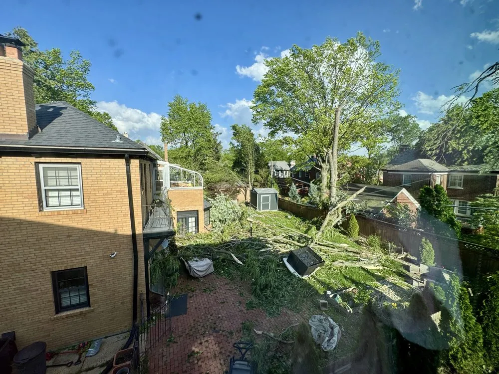 Expert lawn care service experts serving St. Peters, MO - J Holt Lawn And Tree Removal