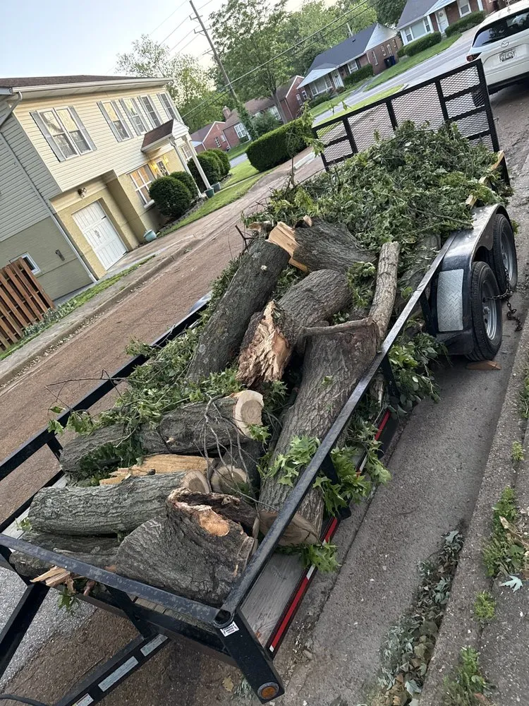 Professional landscaping services experts serving St. Peters, MO - J Holt Lawn And Tree Removal