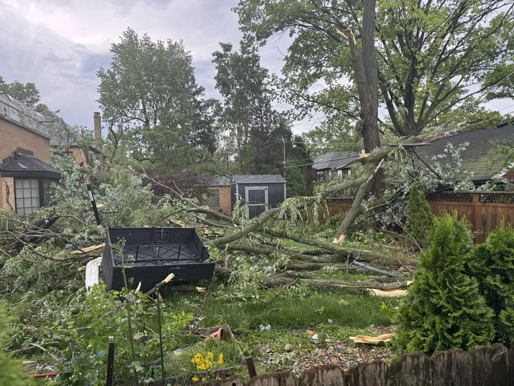 Trusted landscaping services for year-round maintenance across St. Peters, MO - J Holt Lawn And Tree Removal