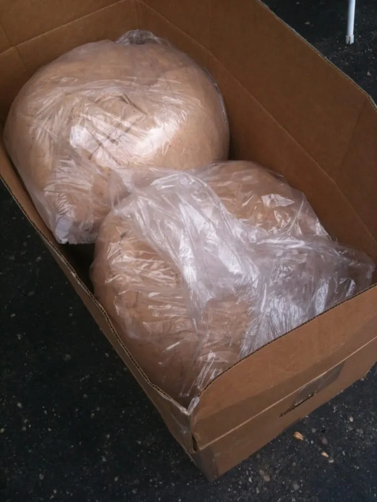 Professional landscaping services with custom design across Fredonia, NY - J I Woodland Products Sawdust Shavings