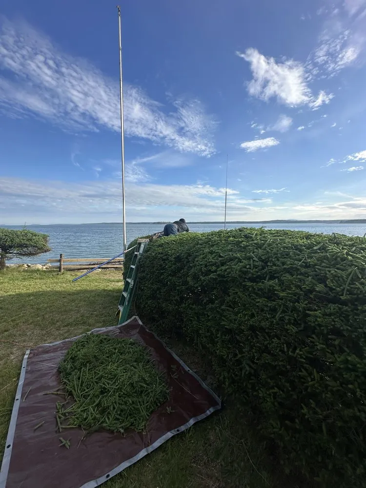 Local lawn care service for homes across Milbridge, ME - J J A Landscaping Services