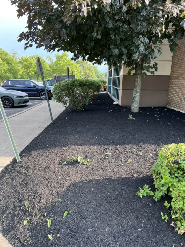 Custom landscape installation for beautiful yards across Glenside, PA - J J Brothers Landscaping