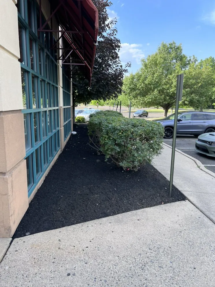 Reliable yard maintenance near you in Glenside, PA by J J Brothers Landscaping