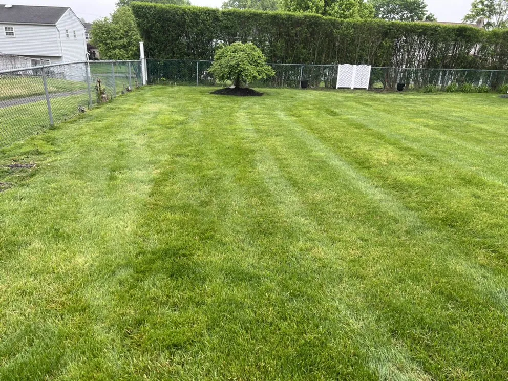Expert lawn mowing service for homes across Glenside, PA - J J Brothers Landscaping