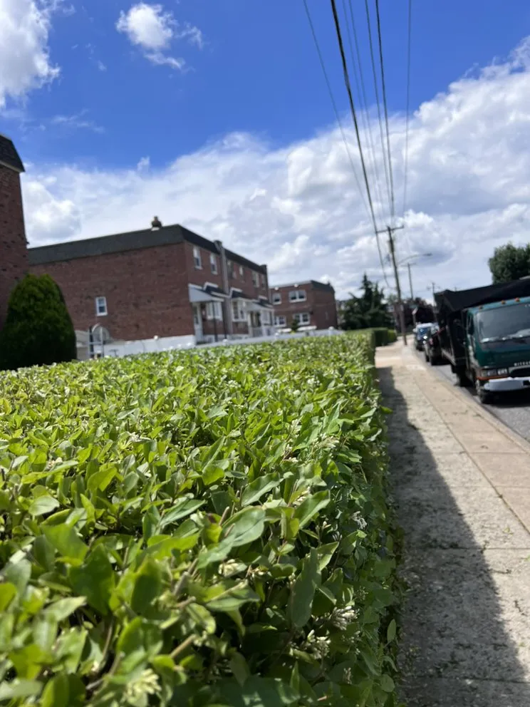 Affordable residential landscaping for homes across Glenside, PA - J J Brothers Landscaping