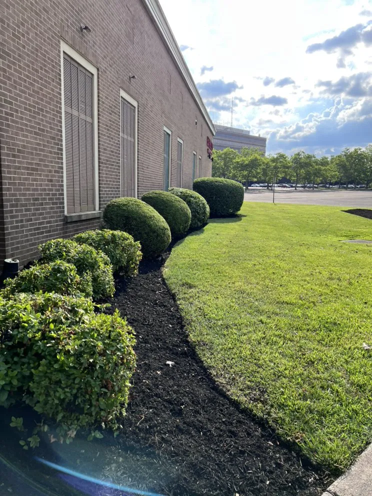 Reliable yard maintenance in Glenside, PA by J J Brothers Landscaping