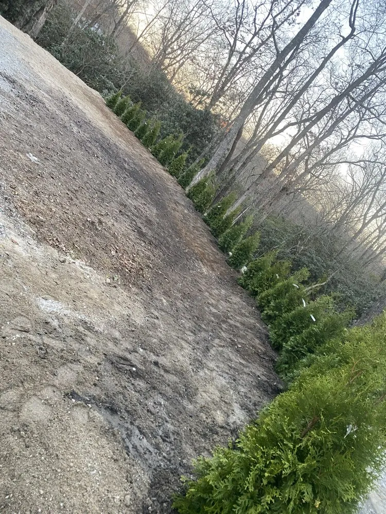 Trusted outdoor landscaping in Franklin, NC - J J Home & Property Services