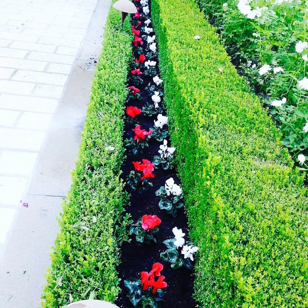 Trusted lawn care service for year-round maintenance across Van Nuys, CA - J J Landscape