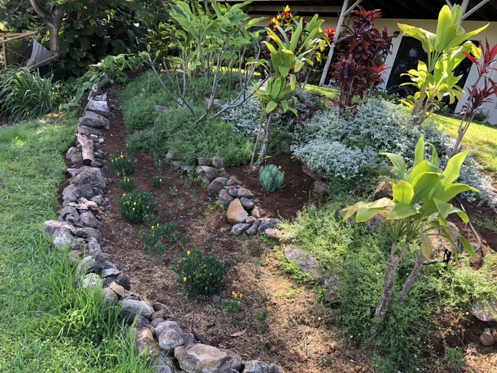 Top-rated yard cleanup service near you across Haiku-Pauwela, HI - J& J Landscaping and Maintenance