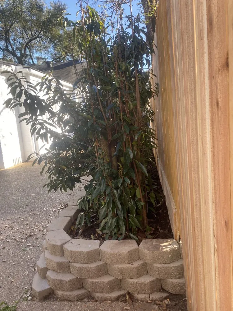 Trusted landscape installation in Bossier City, LA - J-J Landscaping