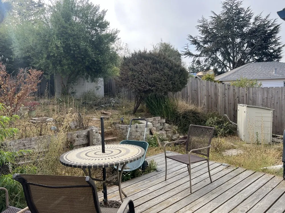 Trusted yard cleanup service experts serving Penngrove, CA - J J Landscaping