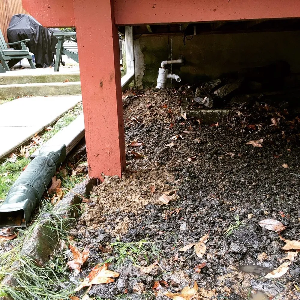 Local lawn care service for year-round maintenance across Folsom, PA - J. Jansen Landscaping