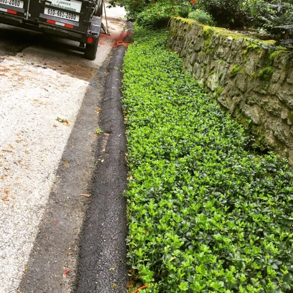 Affordable yard cleanup service in Folsom, PA by J. Jansen Landscaping