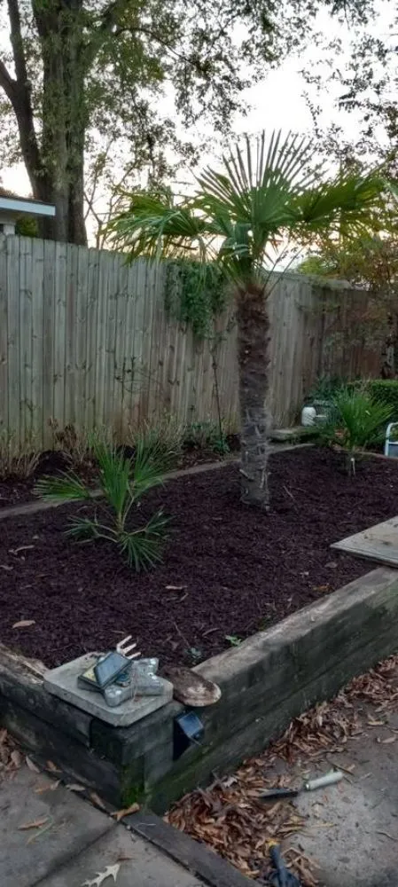 Reliable lawn care service in Durham, NC by J Jesus Landscaping