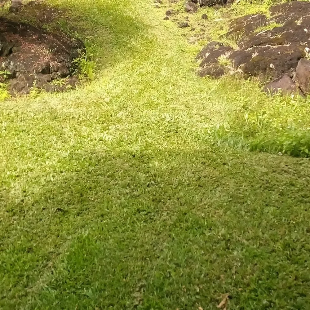 Local garden landscaping for residential properties in Papaikou, HI by J. Jose Yard Service