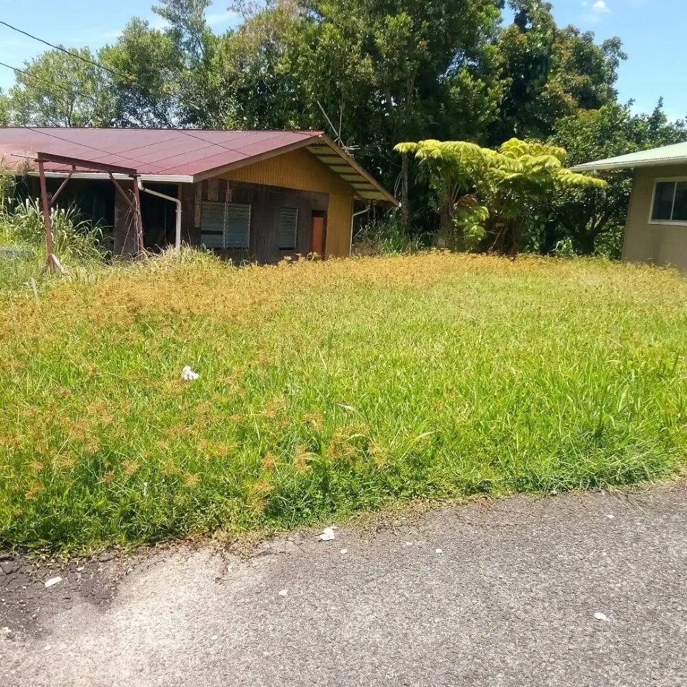 Top-rated yard maintenance in Papaikou, HI - J. Jose Yard Service