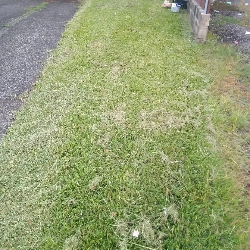 Expert yard maintenance with custom design in Papaikou, HI by J. Jose Yard Service