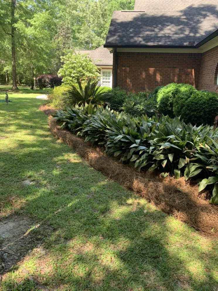 Expert lawn mowing service for residential properties across Tallahassee, FL - J K Lawn Care Services