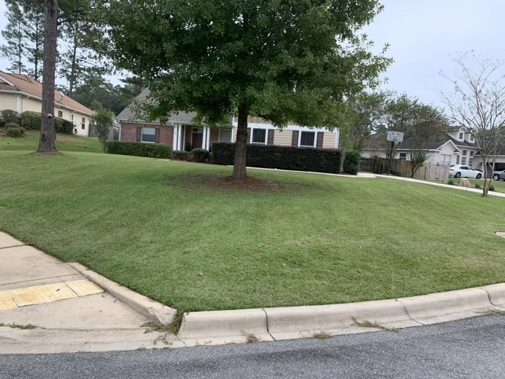 Reliable landscaping services for homes across Tallahassee, FL - J K Lawn Care Services