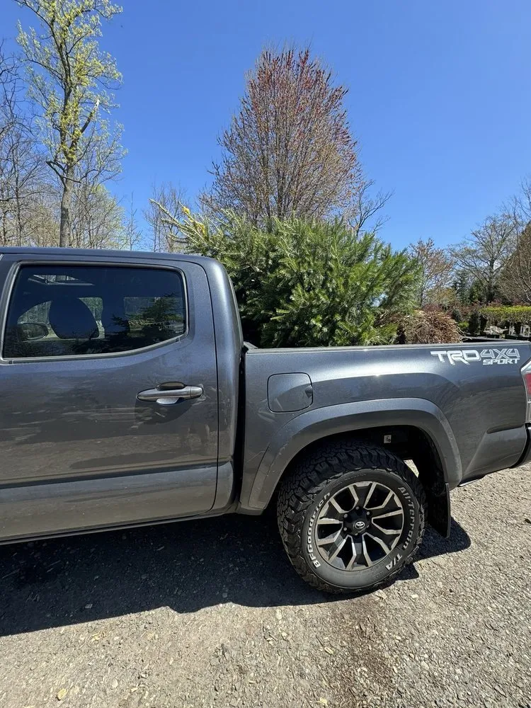 Custom lawn mowing service for outdoor upgrades across New City, NY - J. Krokus Nursery