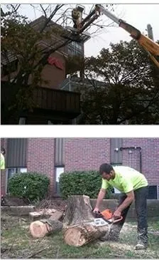 Top-rated residential landscaping near you across South Portland, ME - J L P Services