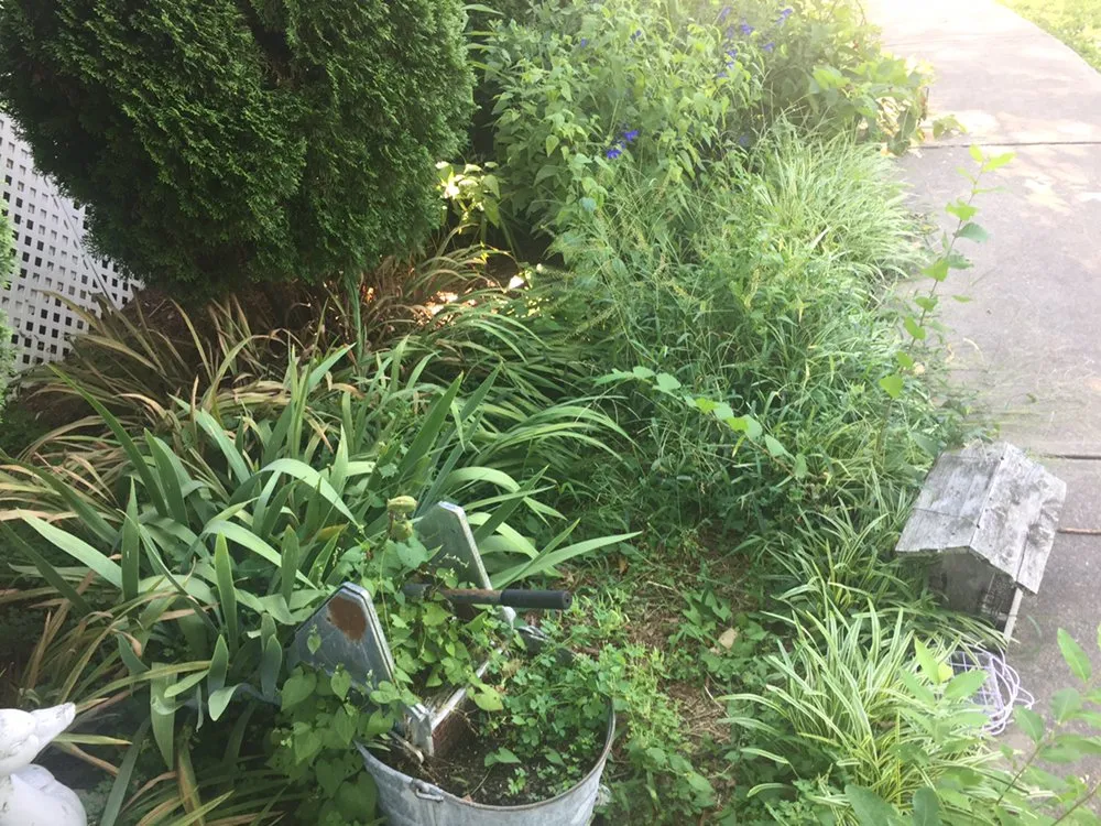 Local yard maintenance in Greeneville, TN - J L S Enterprise Inc Landscapes