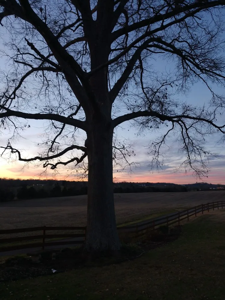 Custom landscape design experts serving Greeneville, TN - J L S Enterprise Inc Landscapes