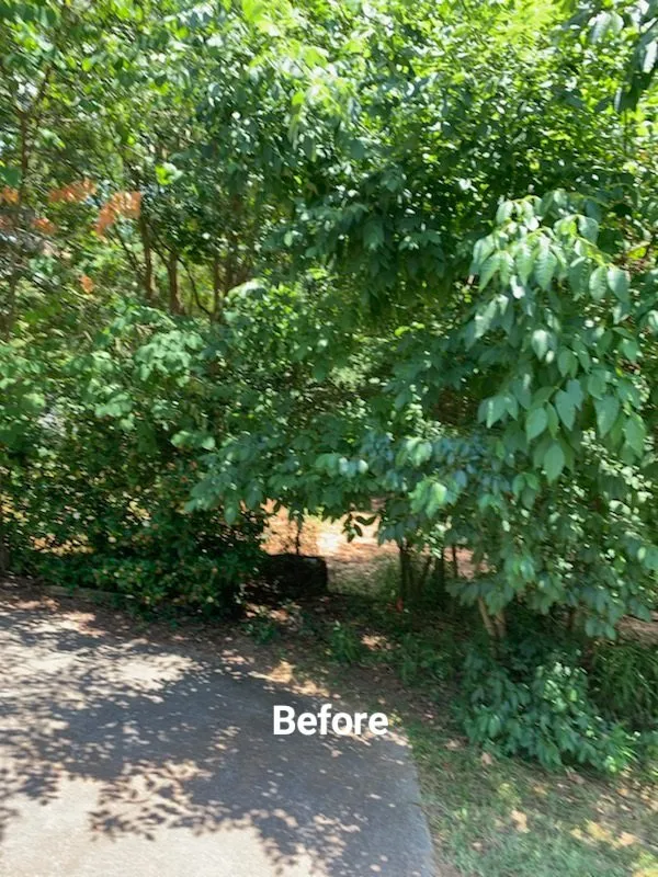 Expert lawn mowing service experts serving Anderson, SC - J Landscaping & More