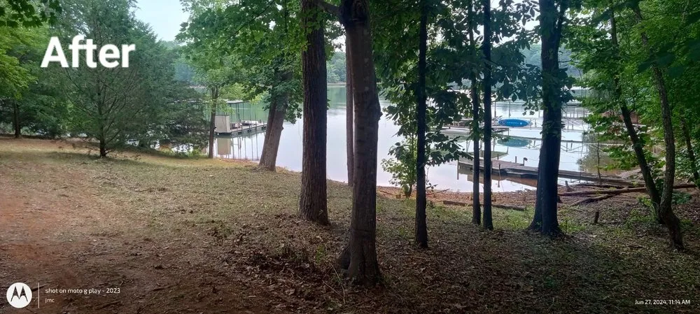 Custom yard cleanup service in Anderson, SC - J Landscaping & More