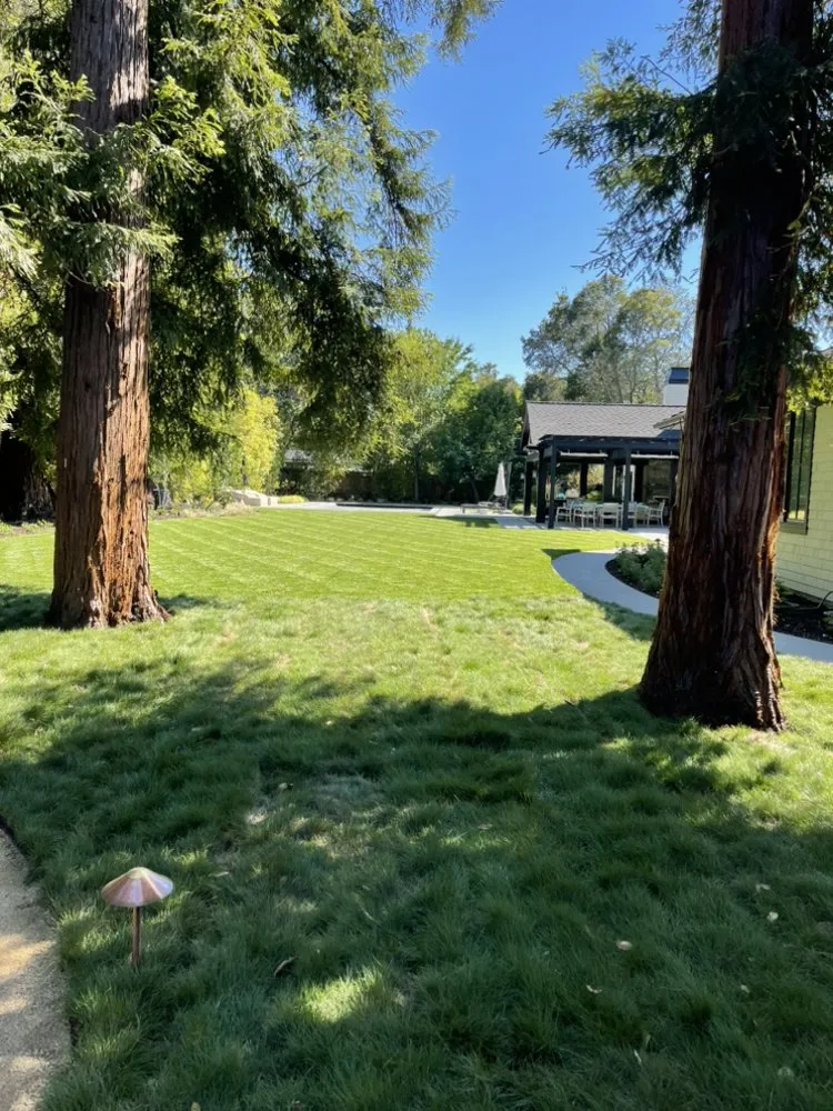 Custom landscape installation for outdoor upgrades in San Mateo, CA by J Landscaping Services