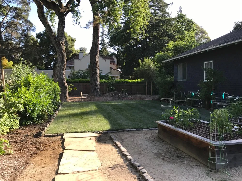 Reliable lawn mowing service in San Mateo, CA by J Landscaping Services