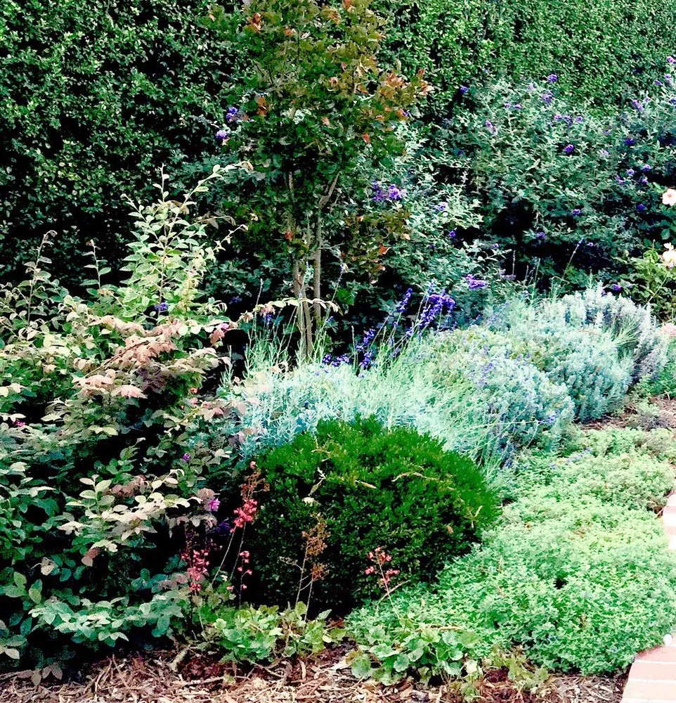 Trusted lawn mowing service in San Mateo, CA by J Landscaping Services