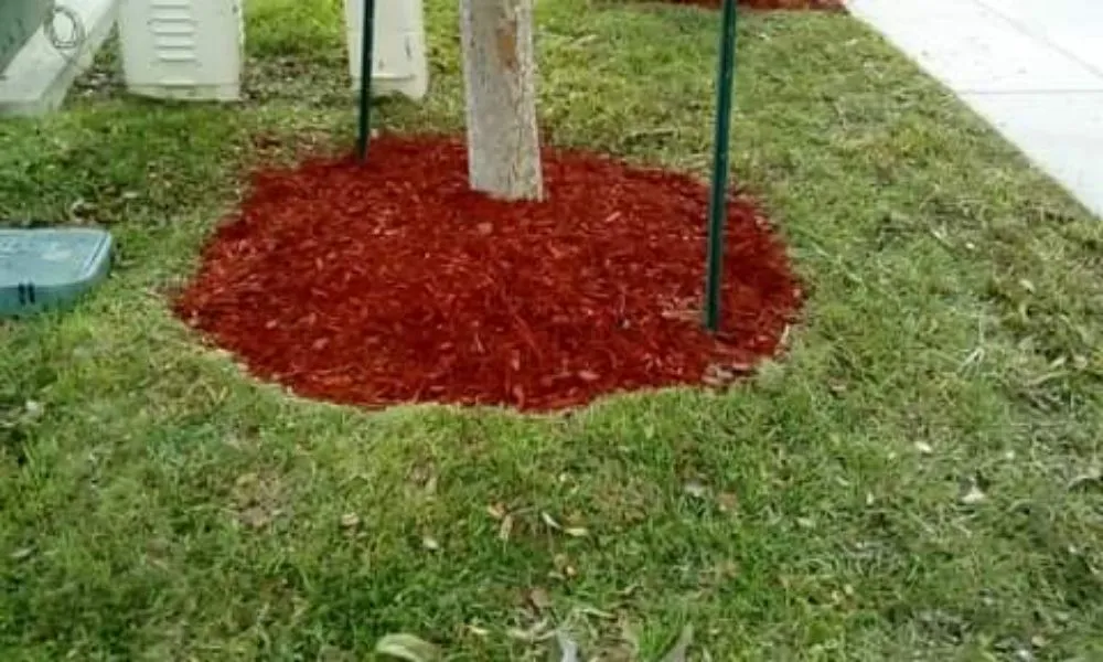 Professional landscape installation in Baker, LA by J. Lane & Associates