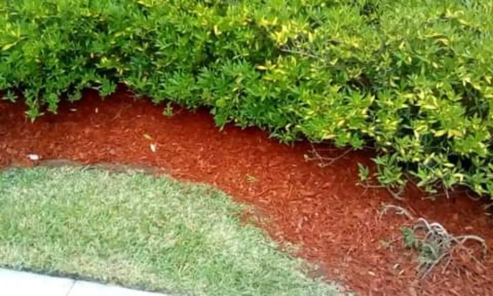 Local garden landscaping near you in Baker, LA by J. Lane & Associates