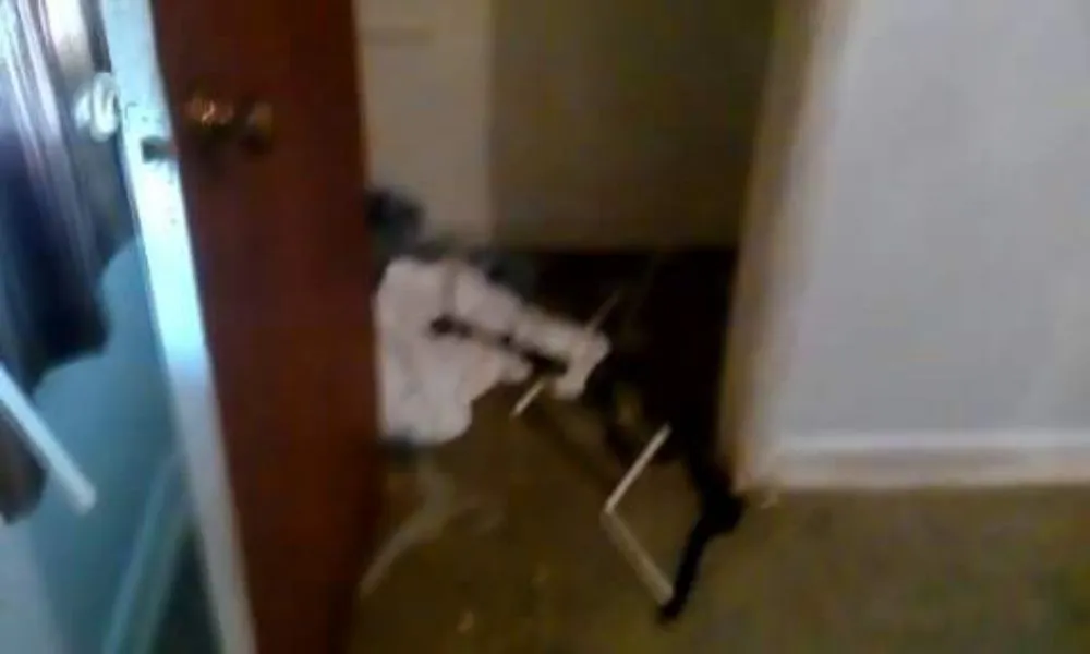 Top-rated landscape installation experts serving Baker, LA - J. Lane & Associates