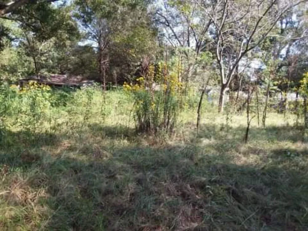 Trusted residential landscaping for beautiful yards across Baker, LA - J. Lane & Associates