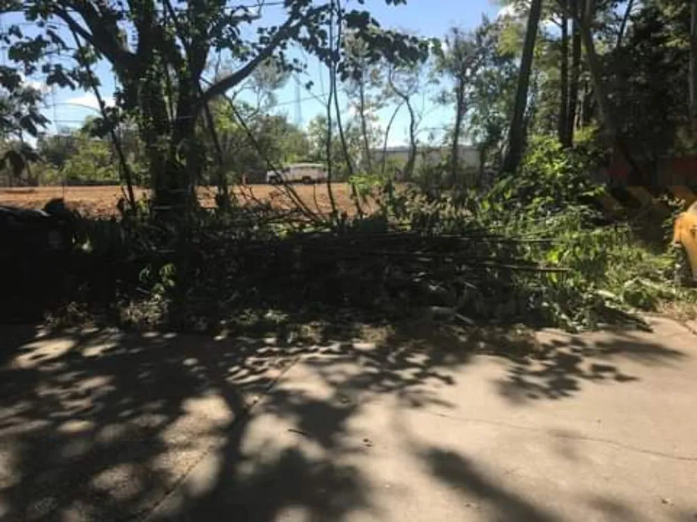 Affordable landscape installation for outdoor upgrades across Baker, LA - J. Lane & Associates