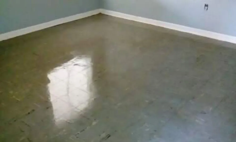 Reliable yard maintenance in Baker, LA by J. Lane & Associates