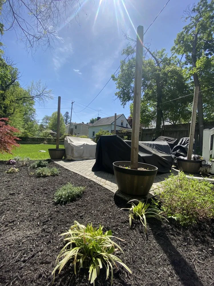 Expert lawn mowing service for beautiful yards in Baltimore, MD by J Lawn Care