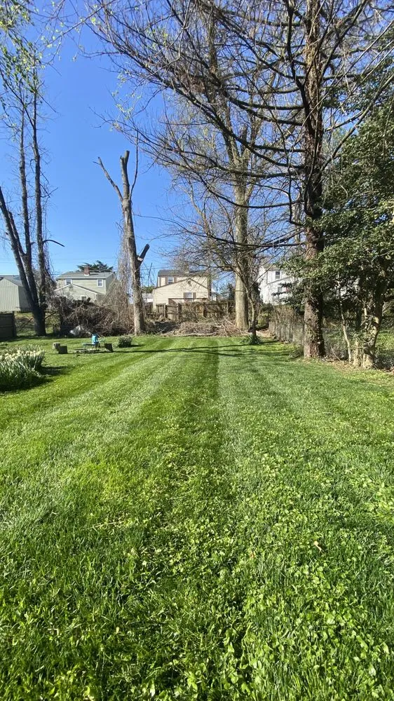 Expert landscape installation near you across Baltimore, MD - J Lawn Care