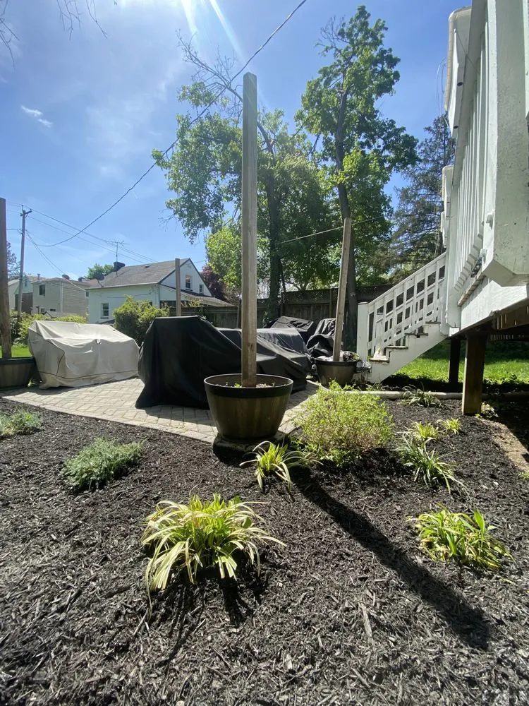 Local yard maintenance in Baltimore, MD - J Lawn Care